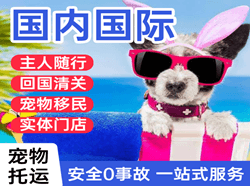 拉萨机场快运国际宠物托运 【国