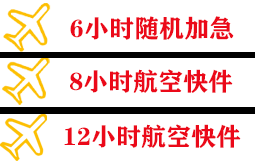 拉萨机场快运快递公司,专业空运当天件